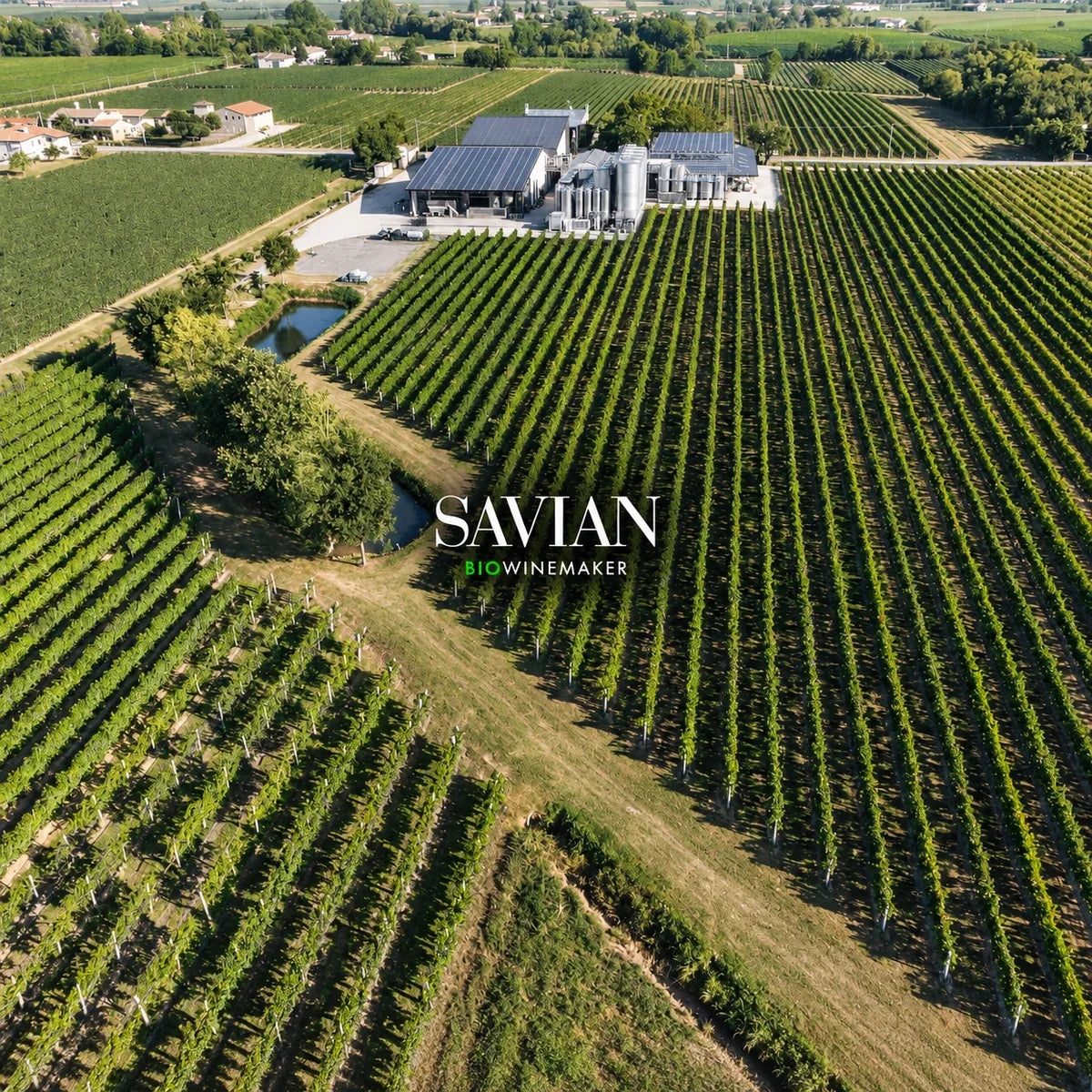Savian, sfeerfoto met logo