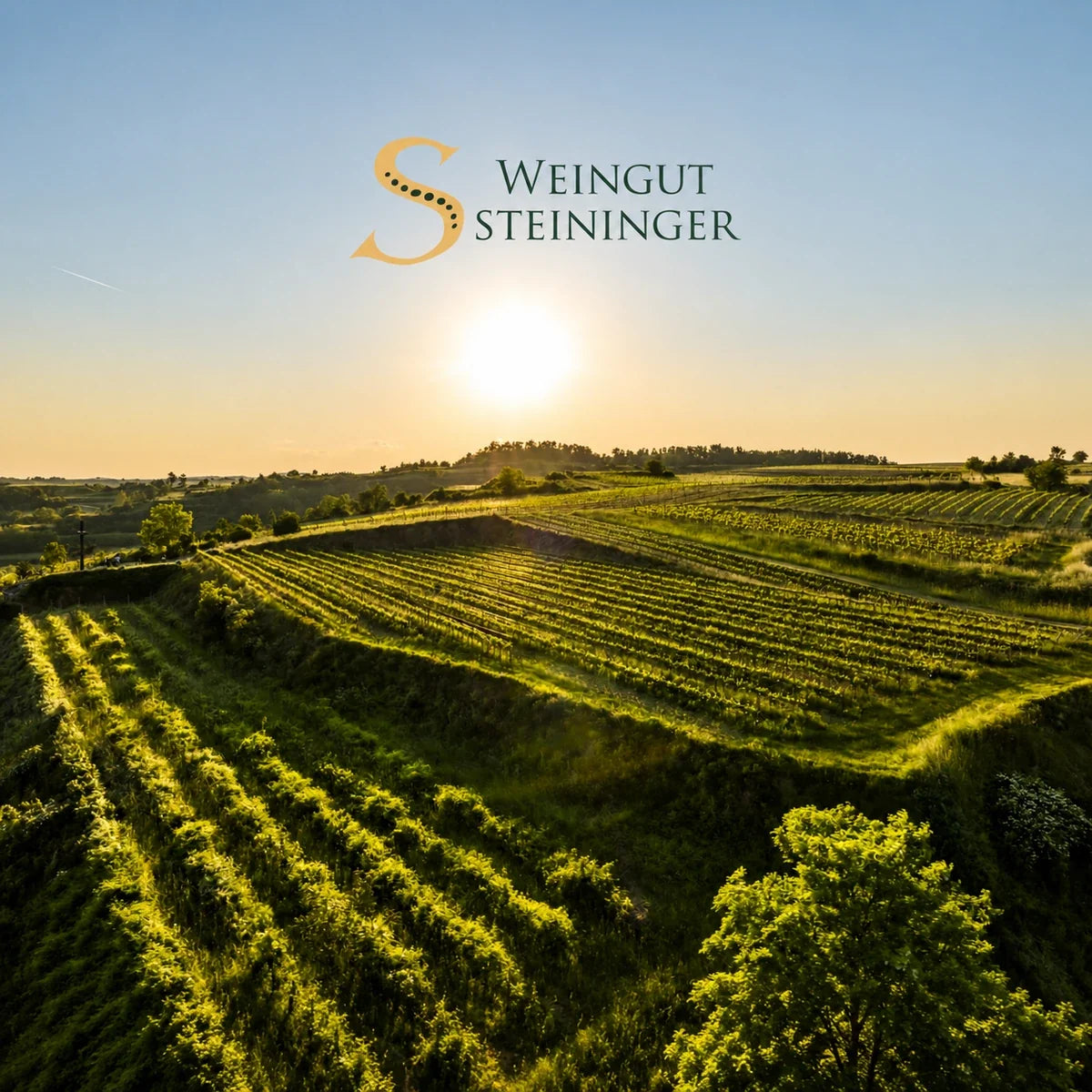 Weingut Karl Steininger, sfeerfoto met logo