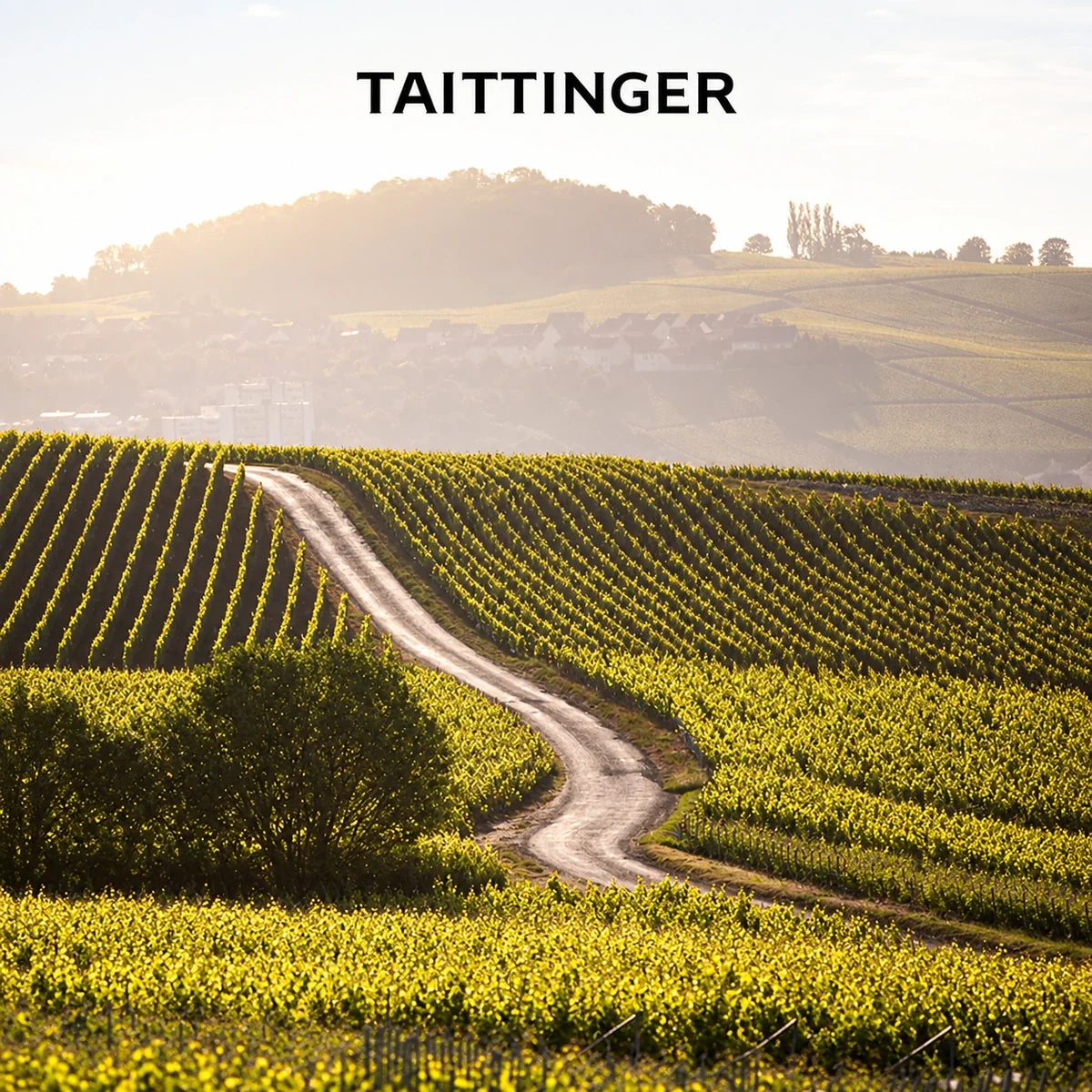 Taittinger, sfeerfoto met logo