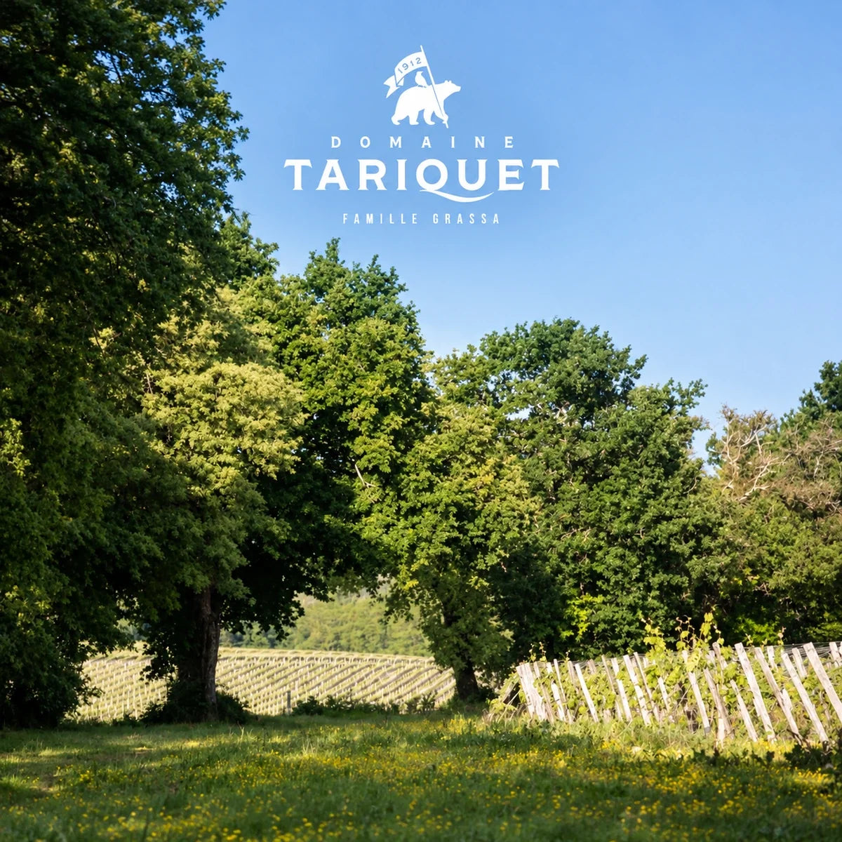 Domaine du Tariquet, sfeerfoto met logo