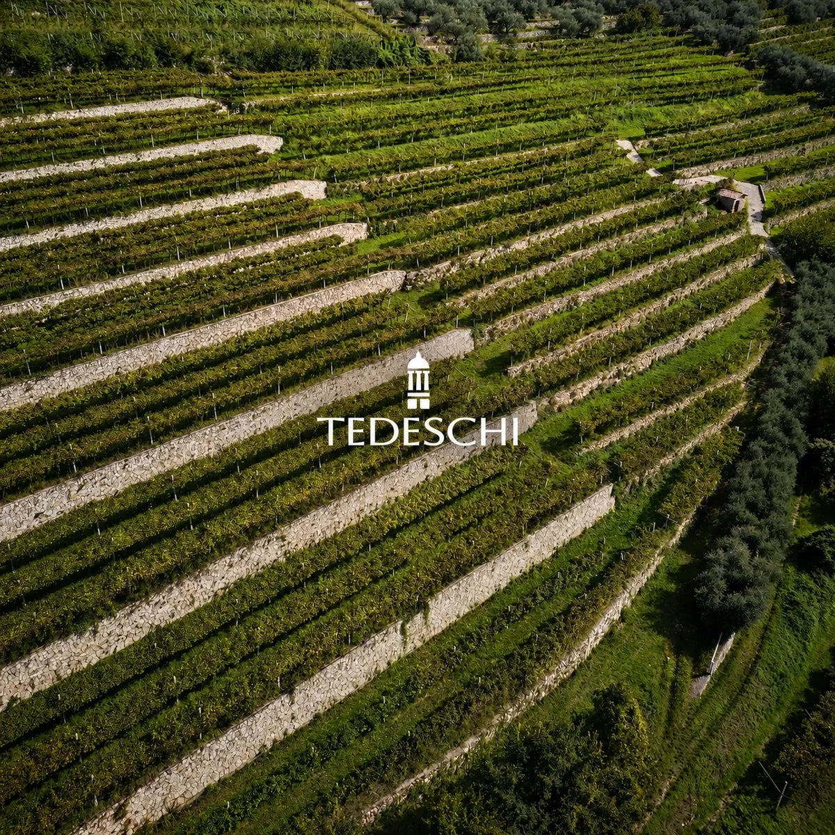Tedeschi, sfeerfoto met logo