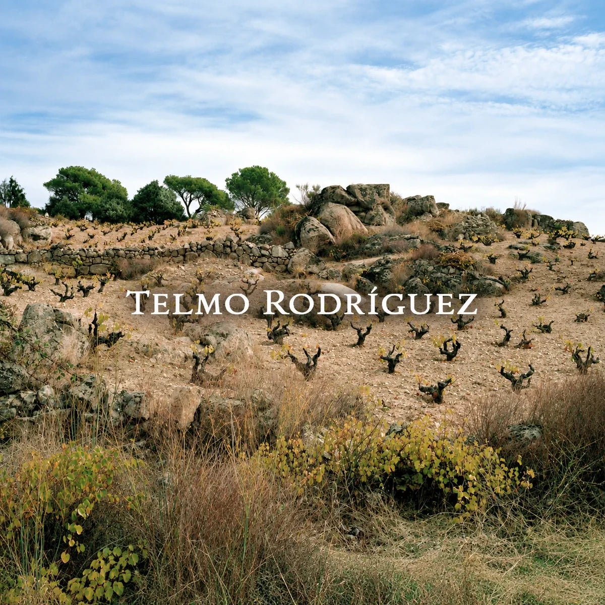 Telmo Rodríguez, sfeerfoto met logo