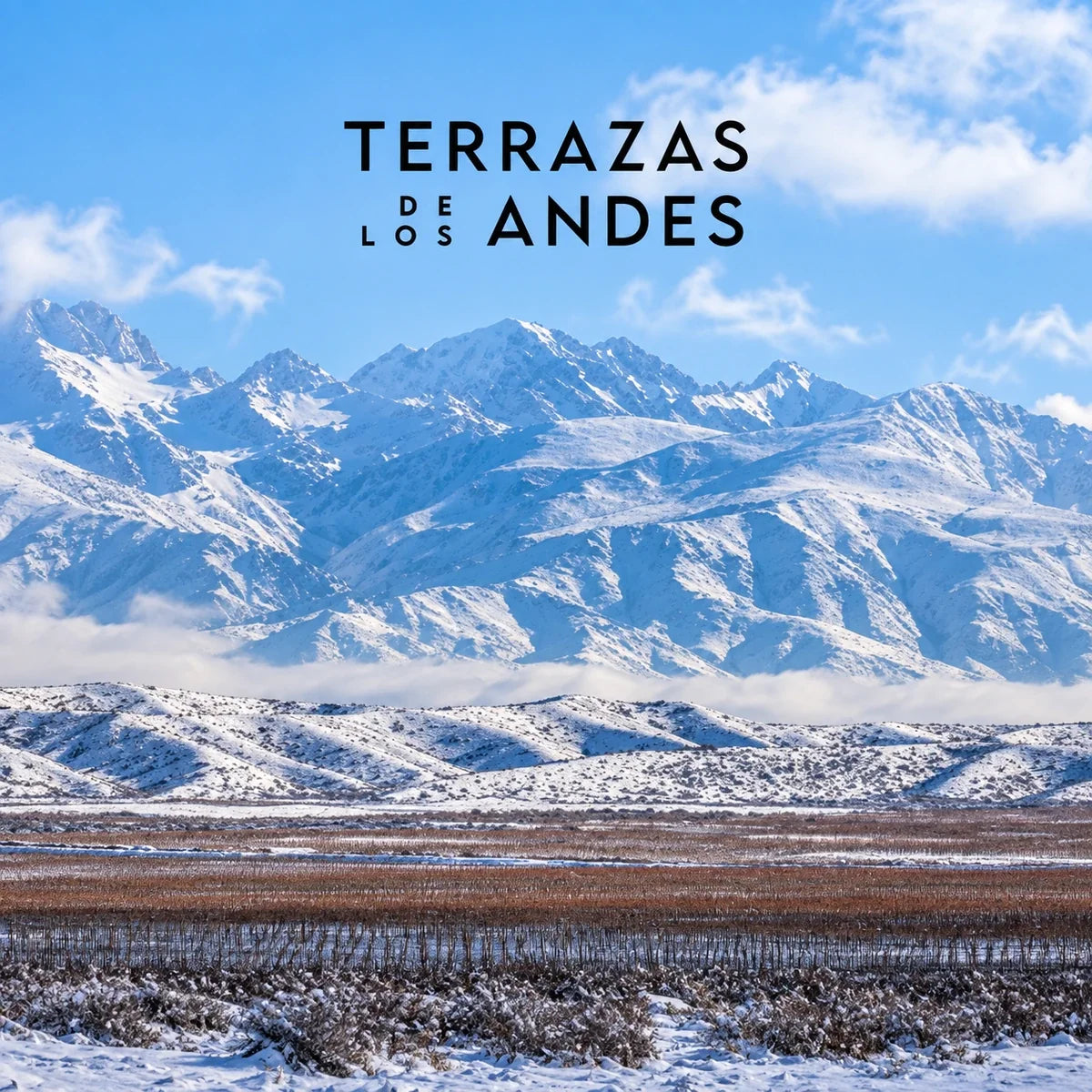 Terrazas, sfeerfoto met logo
