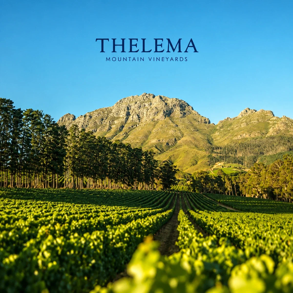 Thelema, sfeerfoto met logo