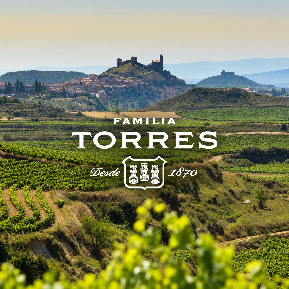 Torres, sfeerfoto met logo