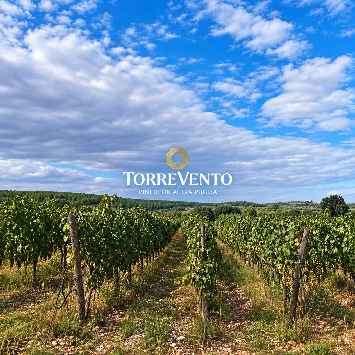 Torrevento, sfeerfoto met logo