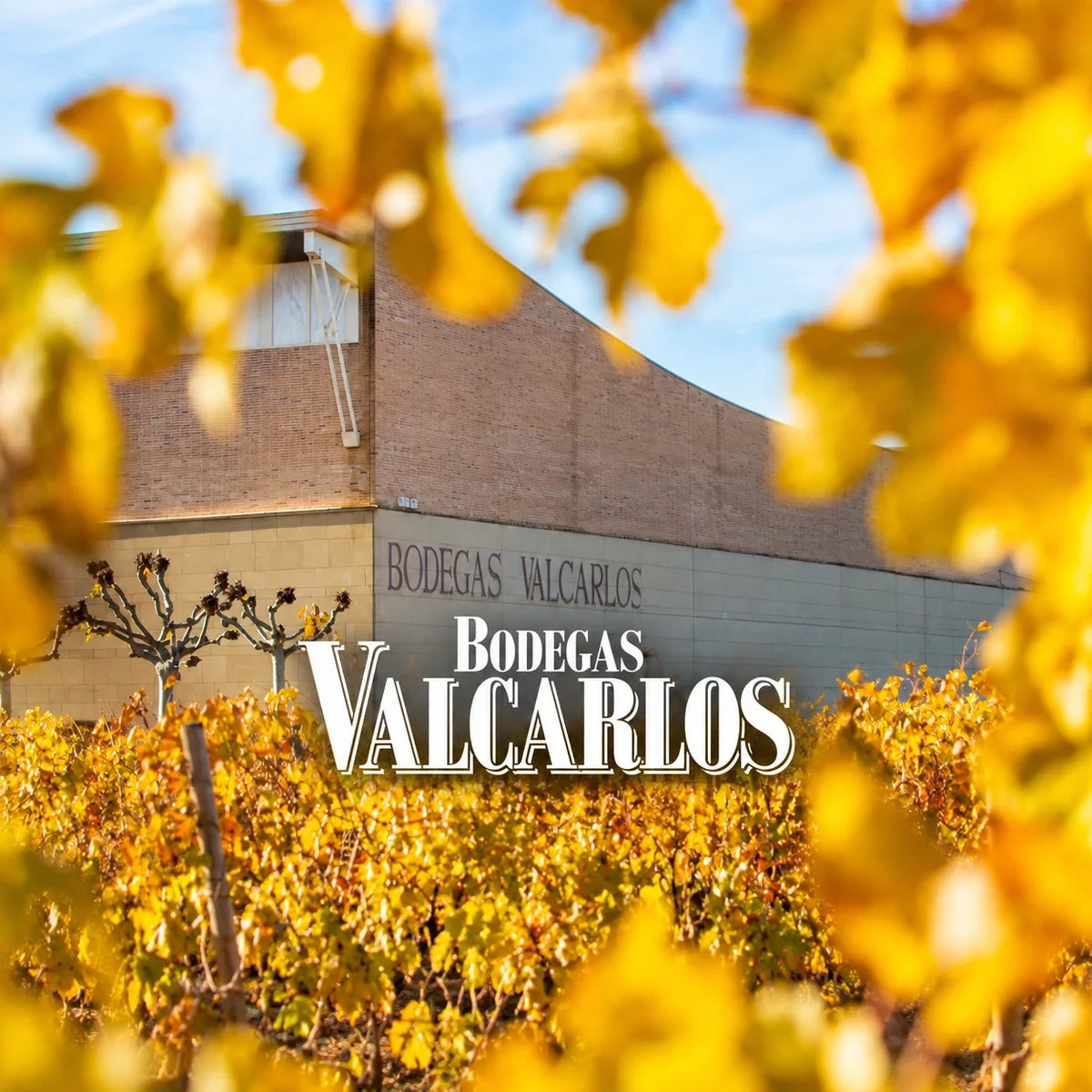 Bodegas Valcarlos, wijnhuis en logo