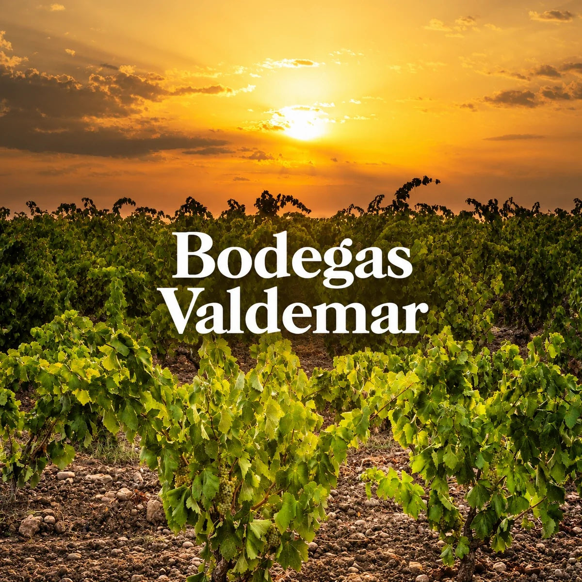 Valdemar, sfeerfoto met logo