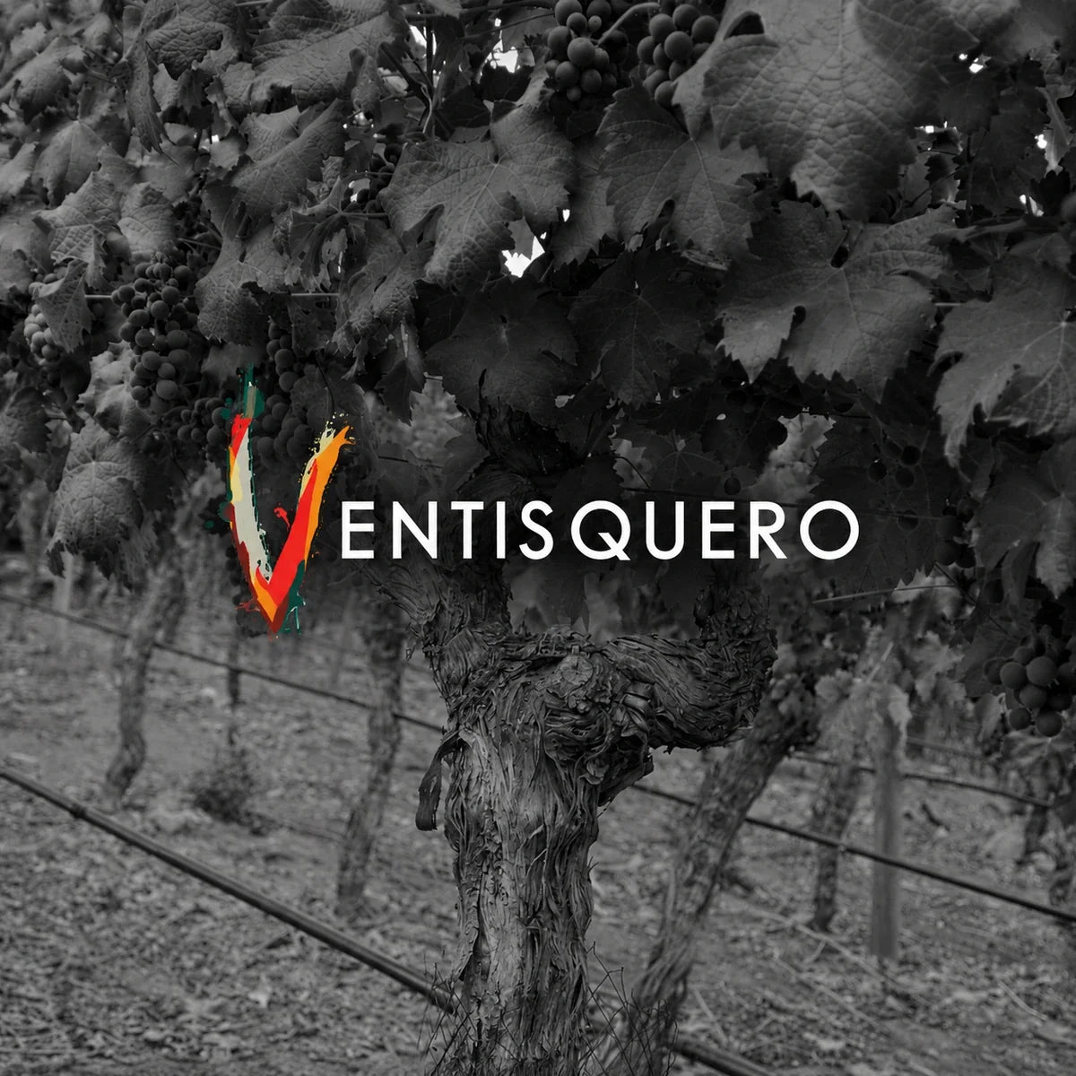 Ventisquero, sfeerfoto met logo