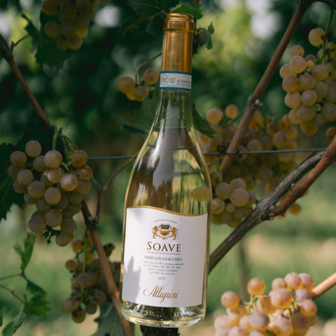 Allegrini Oasi San Giocomo Soave D.O.C.