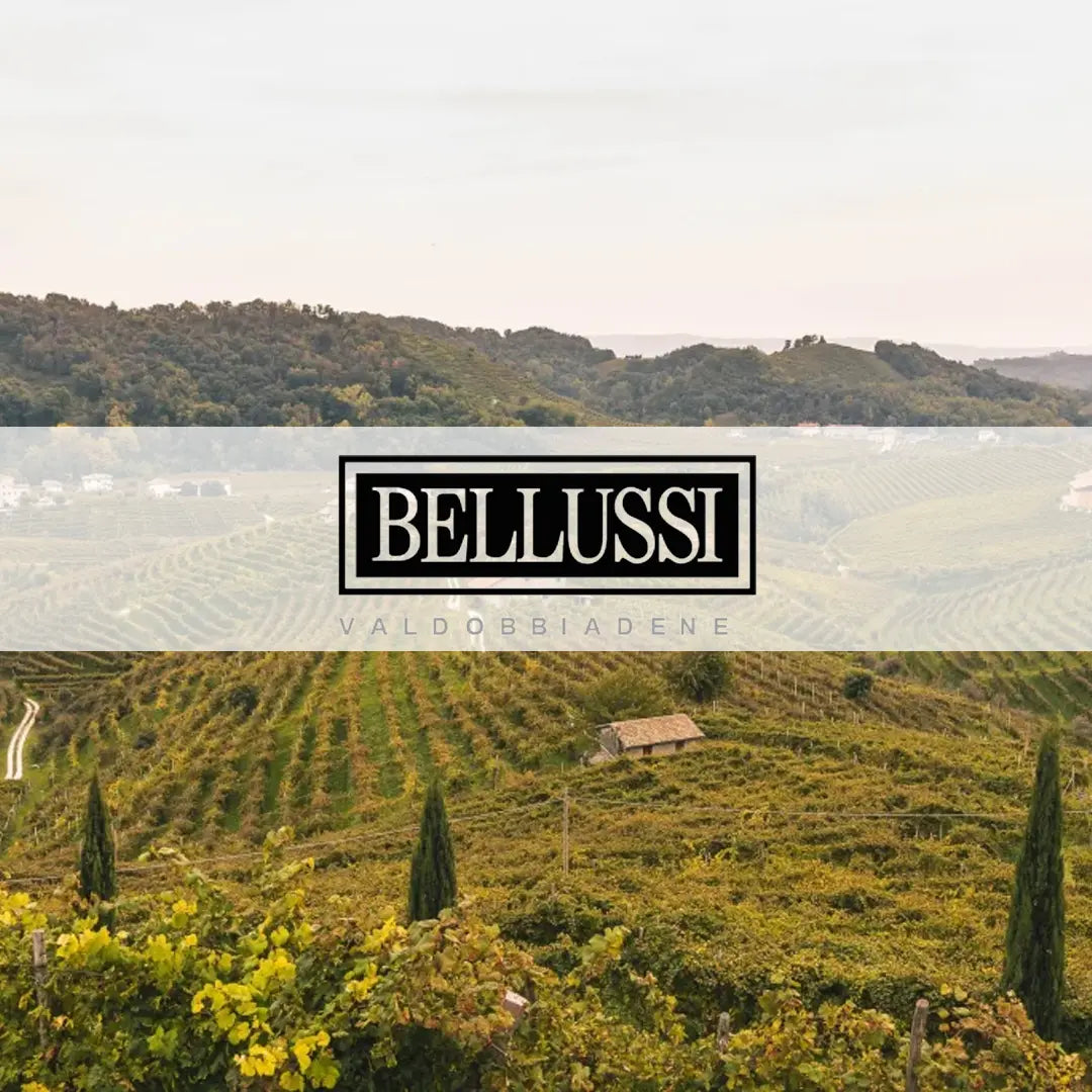 Afbeelding van de collectie