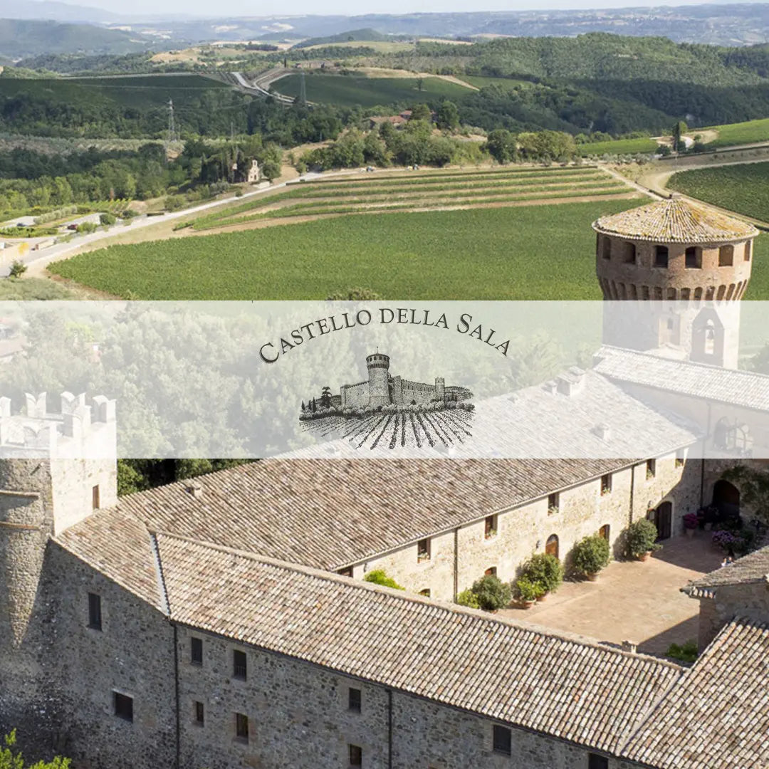 Afbeelding van de collectie