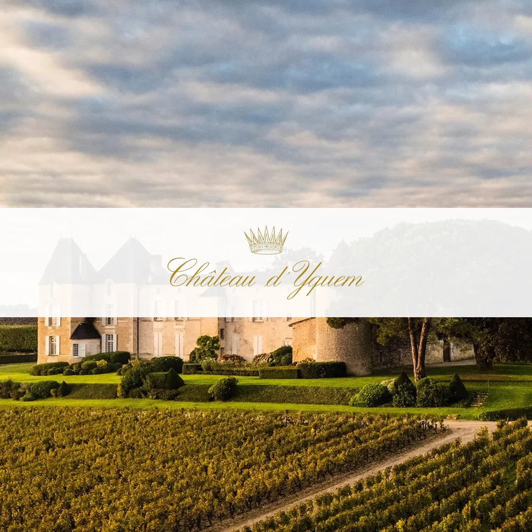 Afbeelding van de collectie