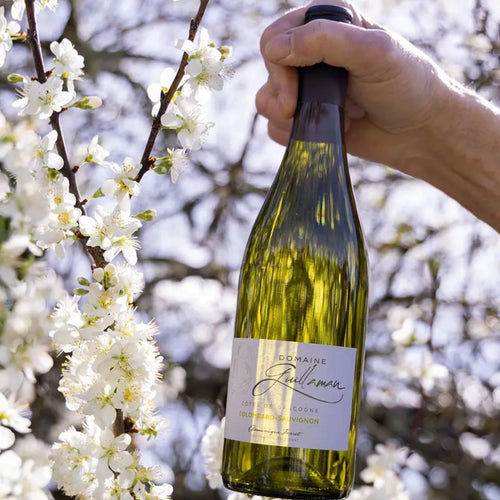 Domaine Guillaman Côtes de Gascogne Colombard Sauvignon