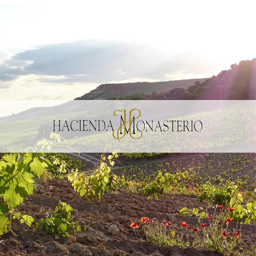 Afbeelding van de collectie