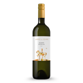 Mario del Conte Fiano Puglia