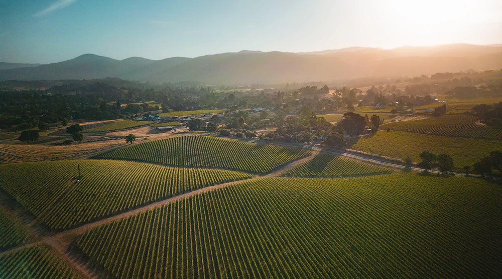 Afbeelding van de collectie