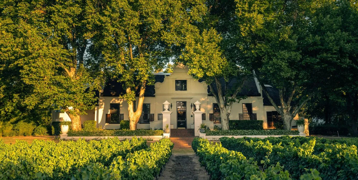 Image of the collection