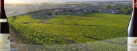 Wijn uit Nuits-Saint-Georges