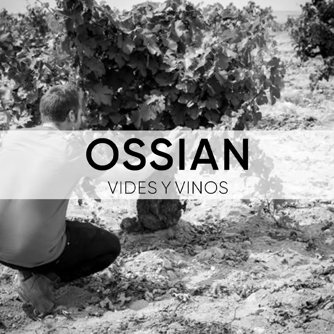 Afbeelding van de collectie