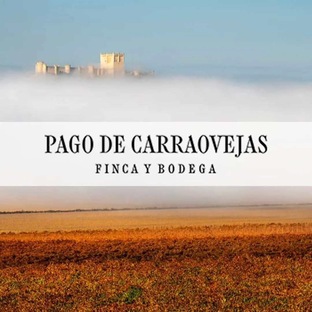 Afbeelding van de collectie