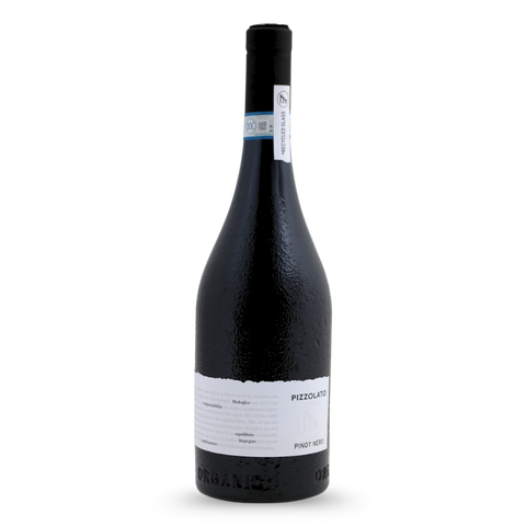 Pizzolato Back to Basic Pinot Nero 