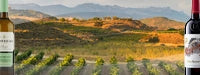 Wijn uit Rioja