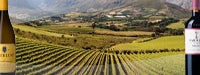 Wijn uit Stellenbosch