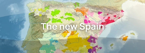 Wine Blog: The New Spain