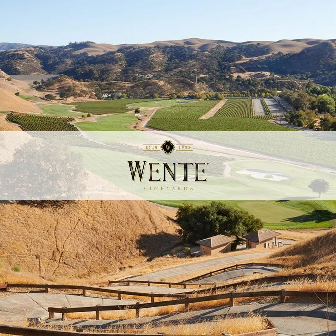 Afbeelding van de collectie