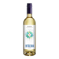 Bitacora Rueda Verdejo
