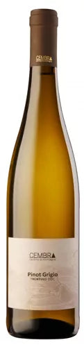 cembra-pinot-grigio-trentino