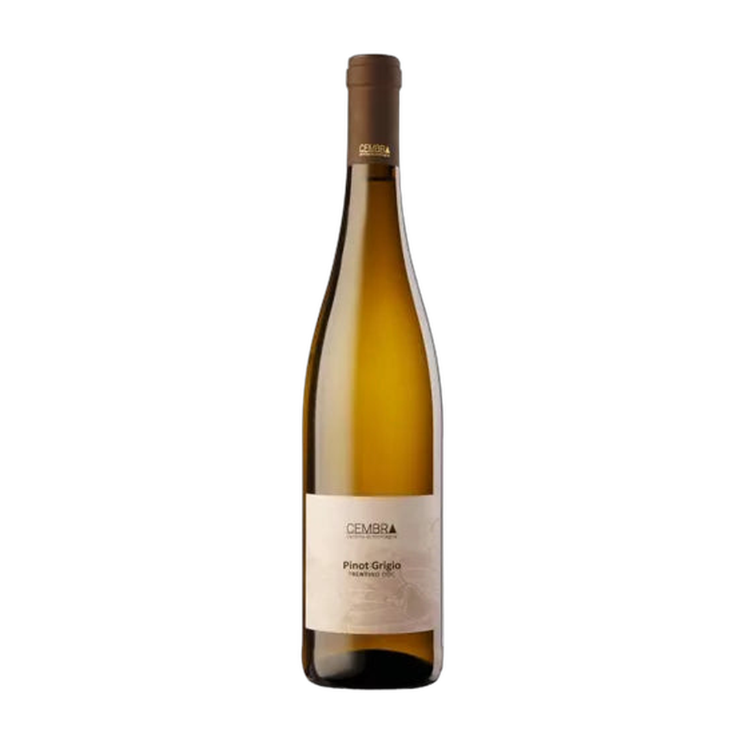 Cembra Pinot Grigio Trentino