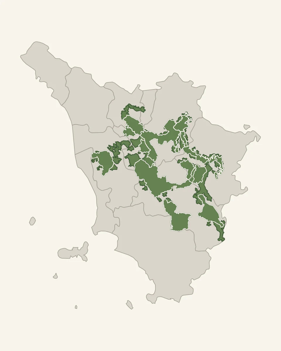 De detailkaart toont Toscane met de grens van Chianti DOCG en de acht herkomstzones.