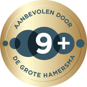 9-de-grote-hamersma