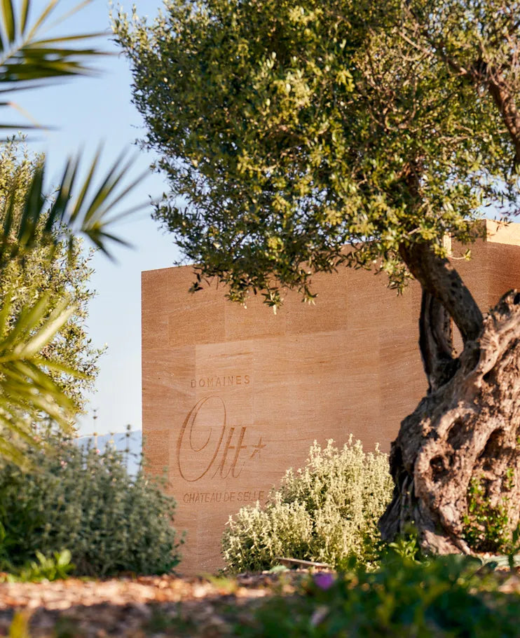 Image of the collection