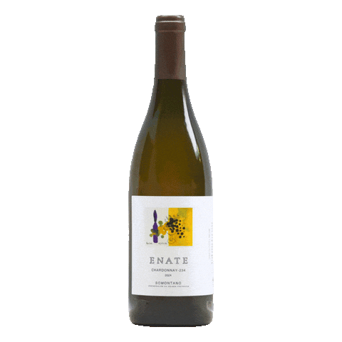 Enate Chardonnay 234
