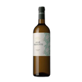 Jose Pariente Sauvignon Blanc
