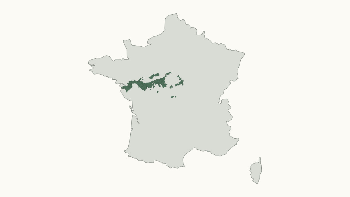 Kaart van Frankrijk met de officiële Loire-appellatiegebieden in groen gemarkeerd
