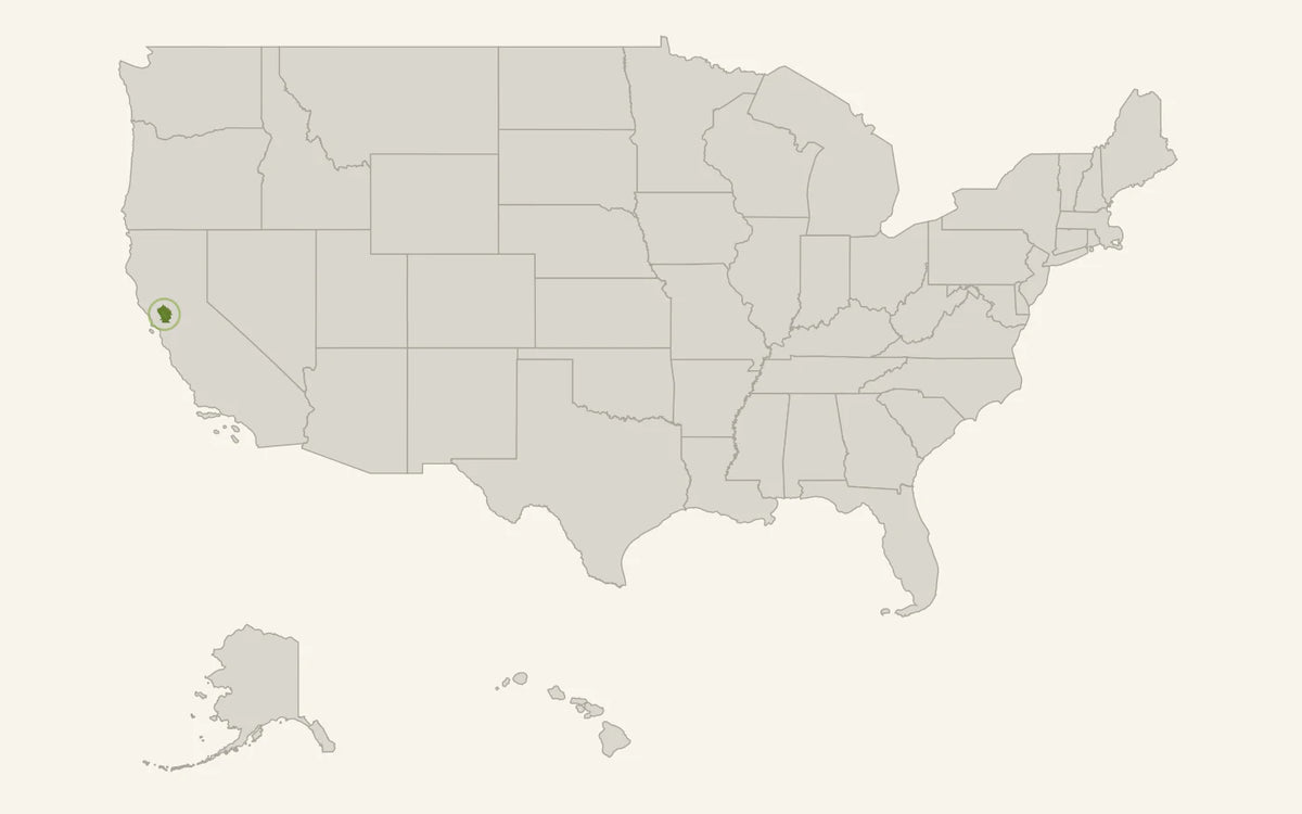 Kaart van de volledige Verenigde Staten met Alaska en Hawaï als inzetkaarten en de officiële Napa Valley AVA-grens groen gemarkeerd