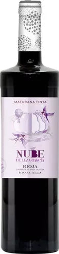 nube-de-leza-garcia-maturana-tinta