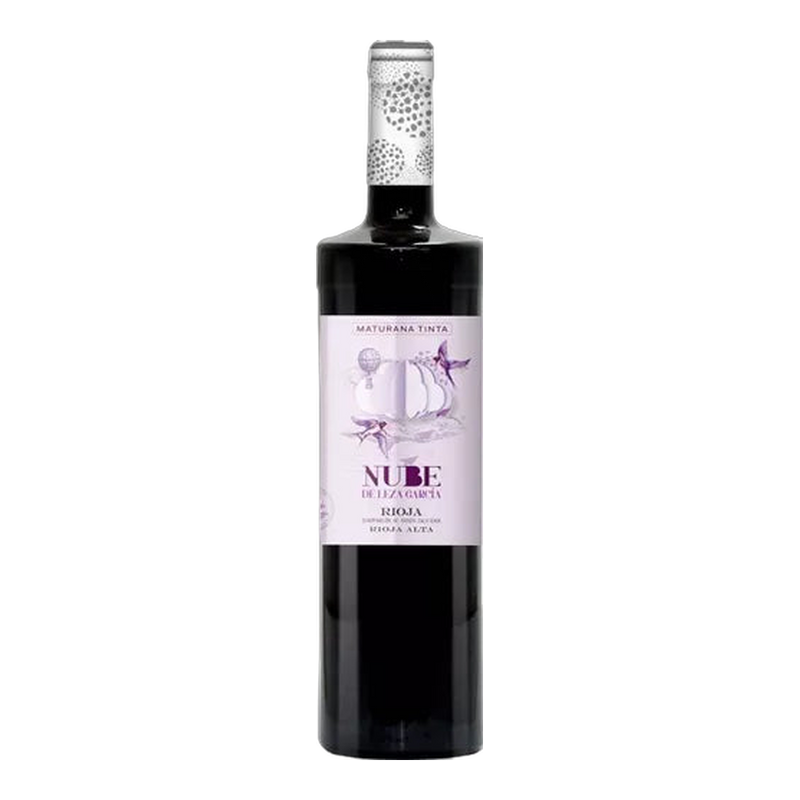 Nube de Leza Garcia Maturana Tinta