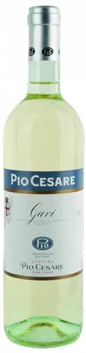 pio-cesare-gavi