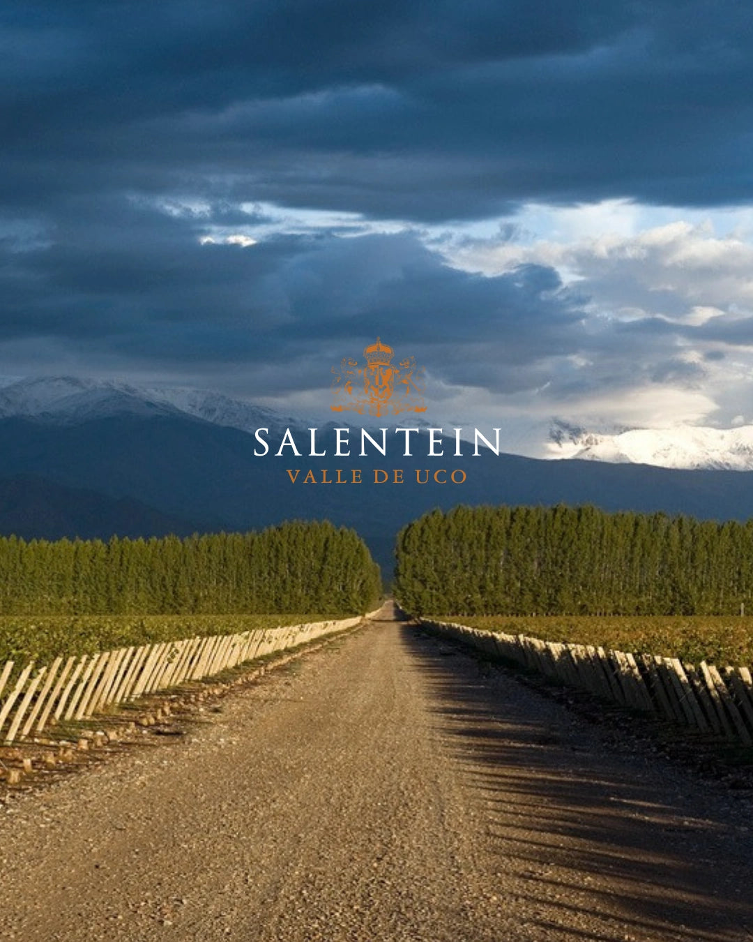 Afbeelding van de collectie