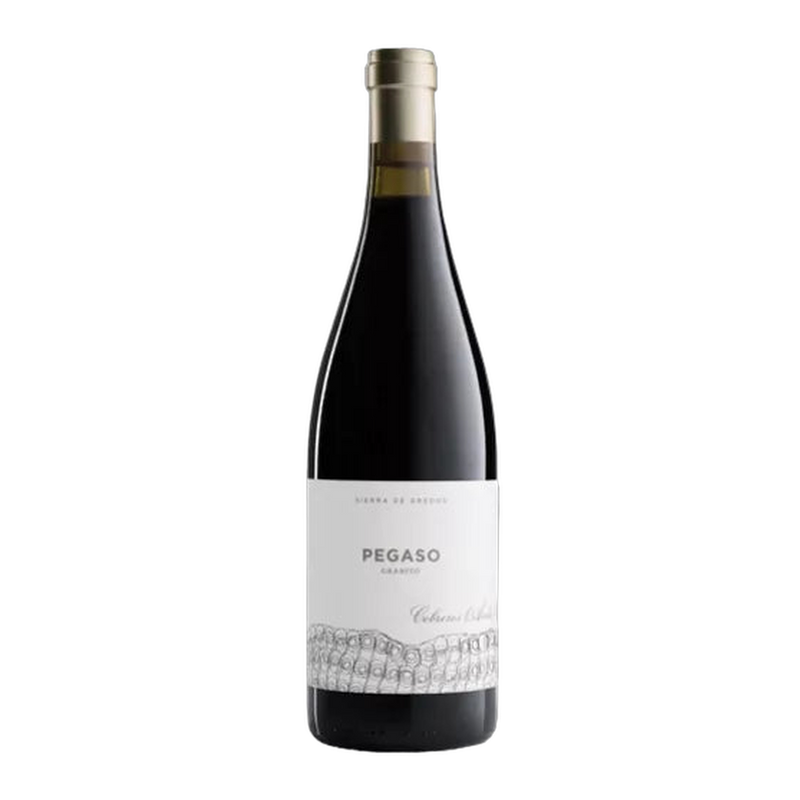 Telmo Rodríguez Pegaso Granito