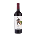Viticcio Bolgheri Maremma